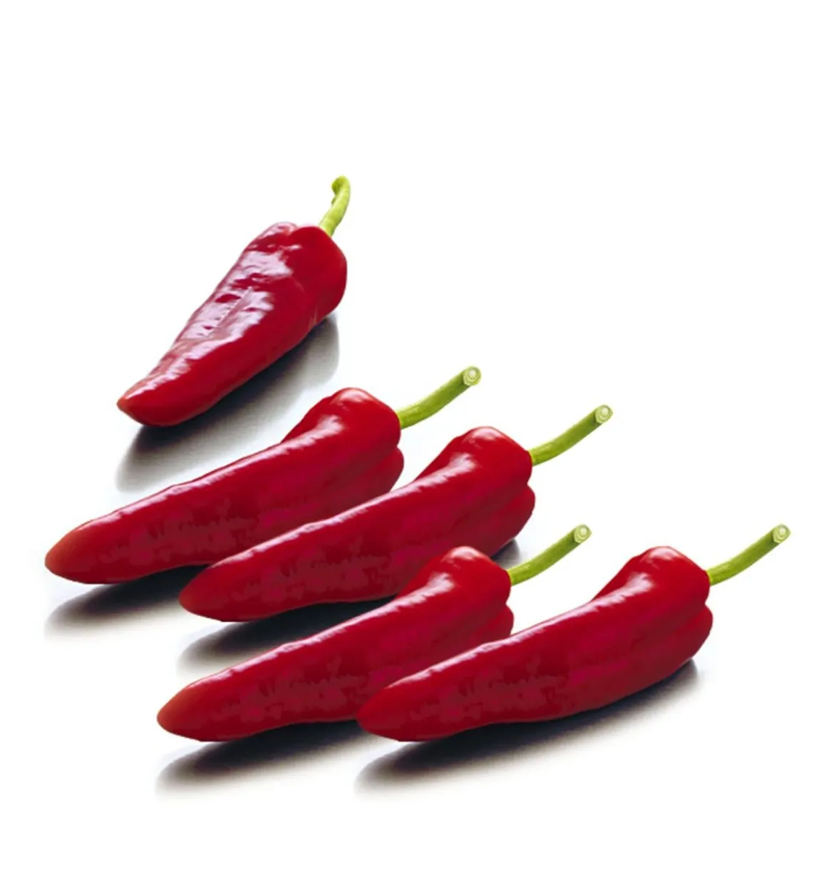 Spitzpaprika, rot