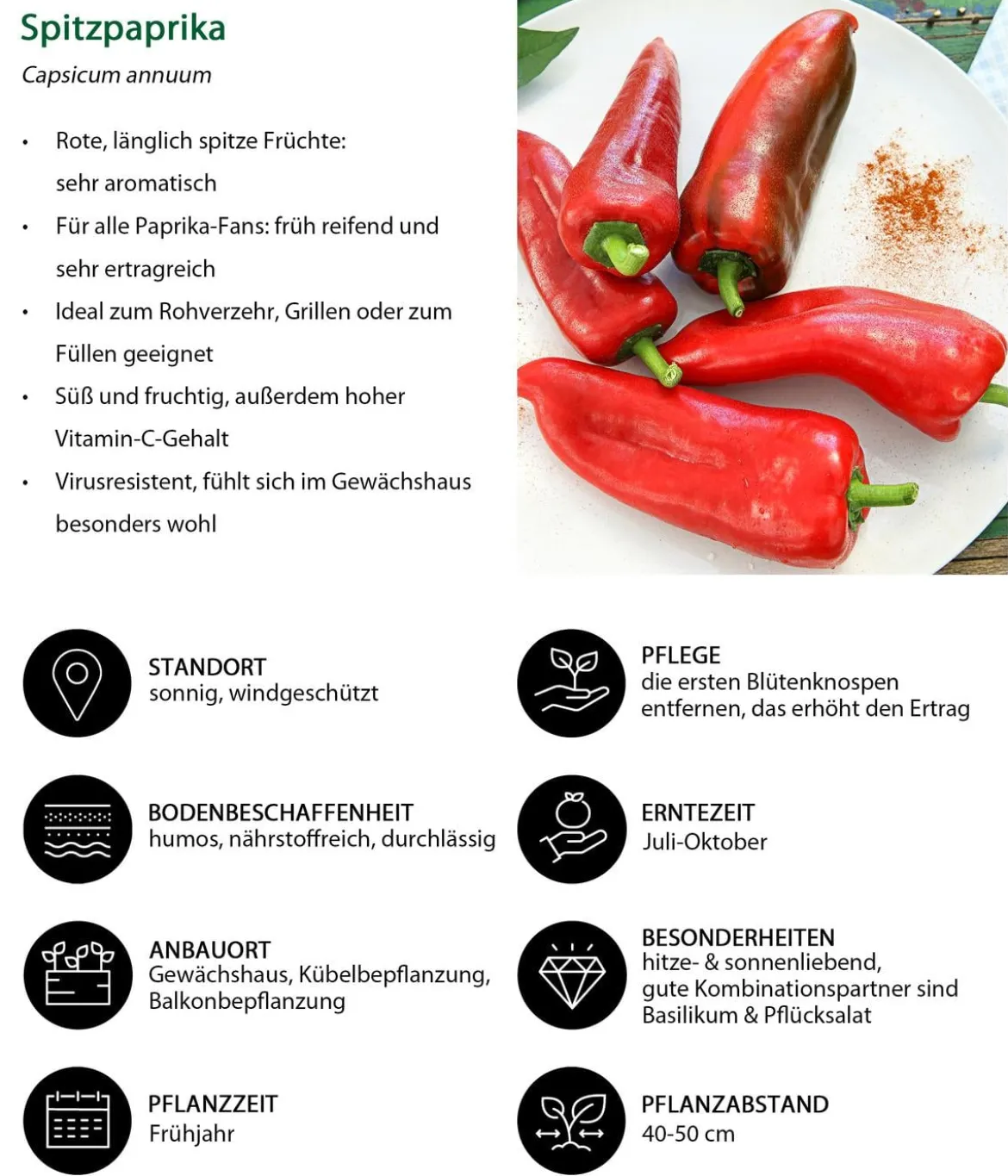 Spitzpaprika, rot