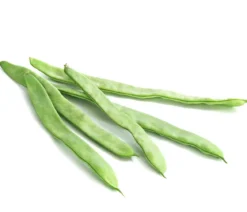 Stangenbohne