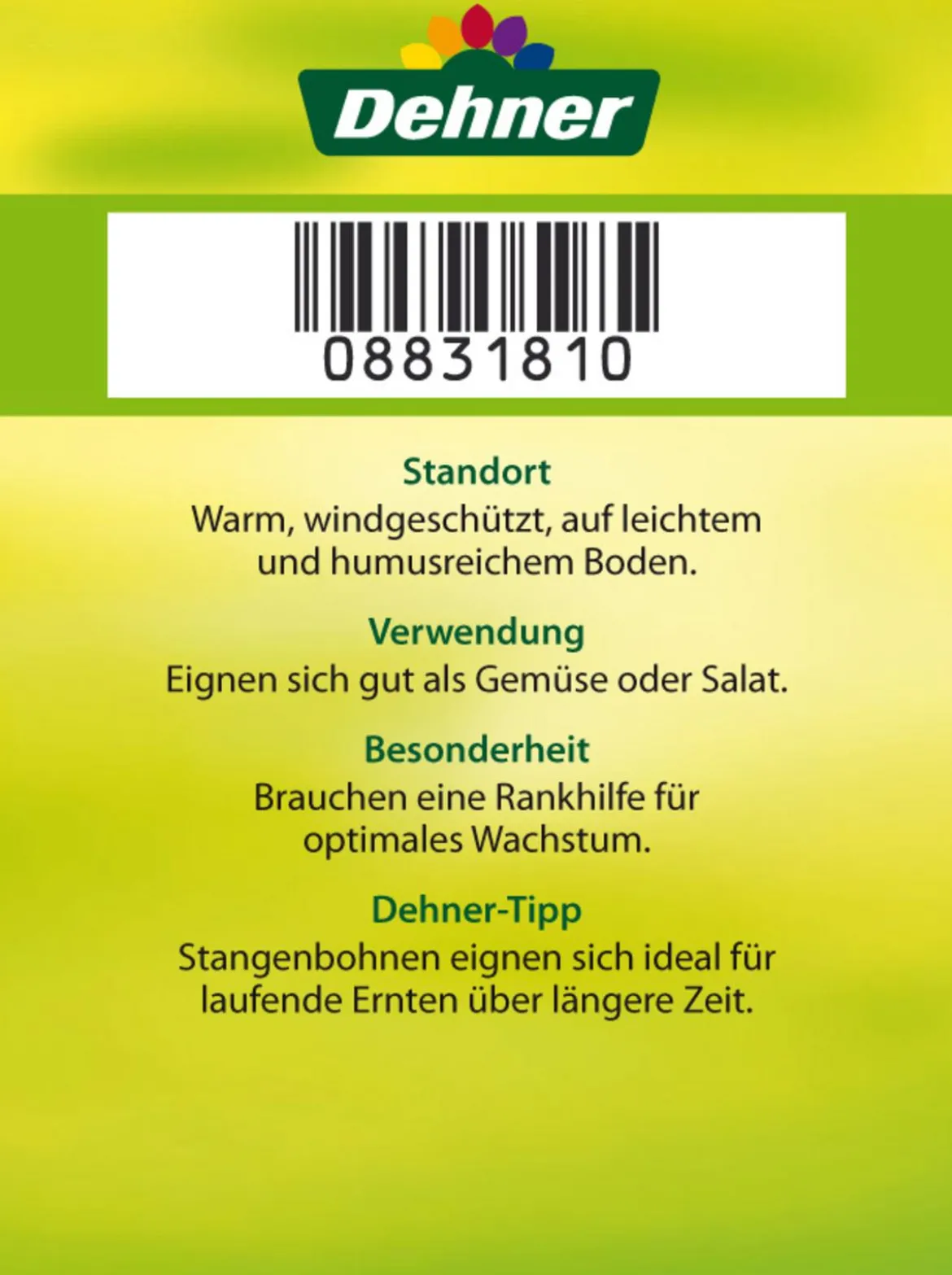 Stangenbohne