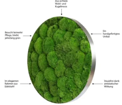 styleGREEN Bild aus Kugelmoos, Ellipsoid, ca. Ø54 cm