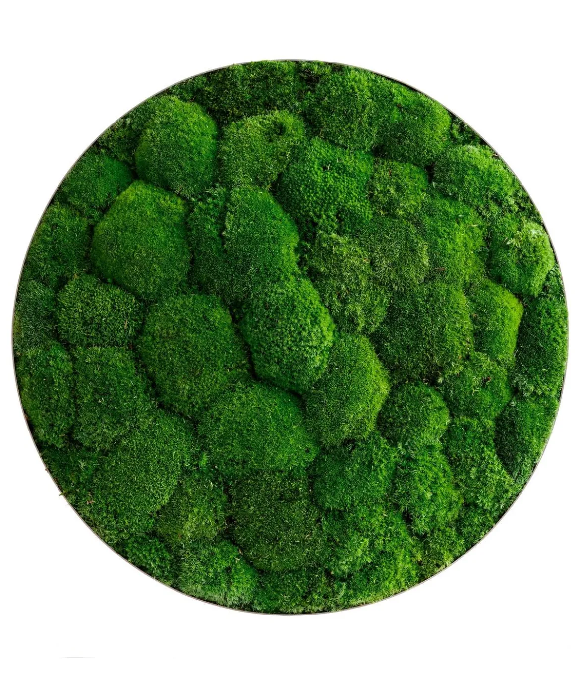 styleGREEN Bild aus Kugelmoos, Ellipsoid, ca. Ø54 cm
