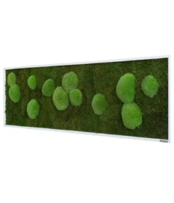 styleGREEN Bild aus Wald- und Kugelmoos, rechteckig, ca. B140/H40/T6 cm