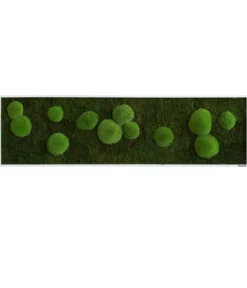 styleGREEN Bild aus Wald- und Kugelmoos, rechteckig, ca. B140/H40/T6 cm