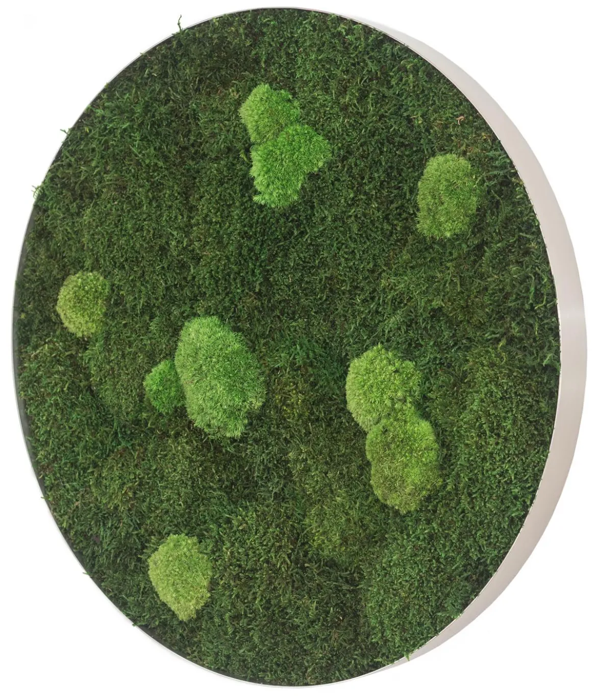 styleGREEN Bild aus Wald- und Kugelmoos, kreisförmig, ca. Ø54 cm