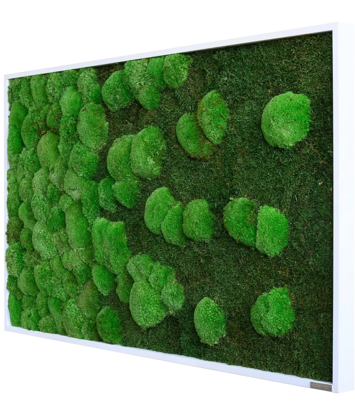 styleGREEN Bild aus Wald- und Kugelmoos im Verlauf, ca. B100/H60/T7 cm