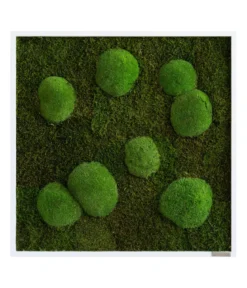 styleGREEN Bild aus Wald- und Kugelmoos, quadratisch, ca. B55/H55/T6 cm