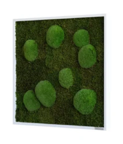 styleGREEN Bild aus Wald- und Kugelmoos, quadratisch, ca. B55/H55/T6 cm
