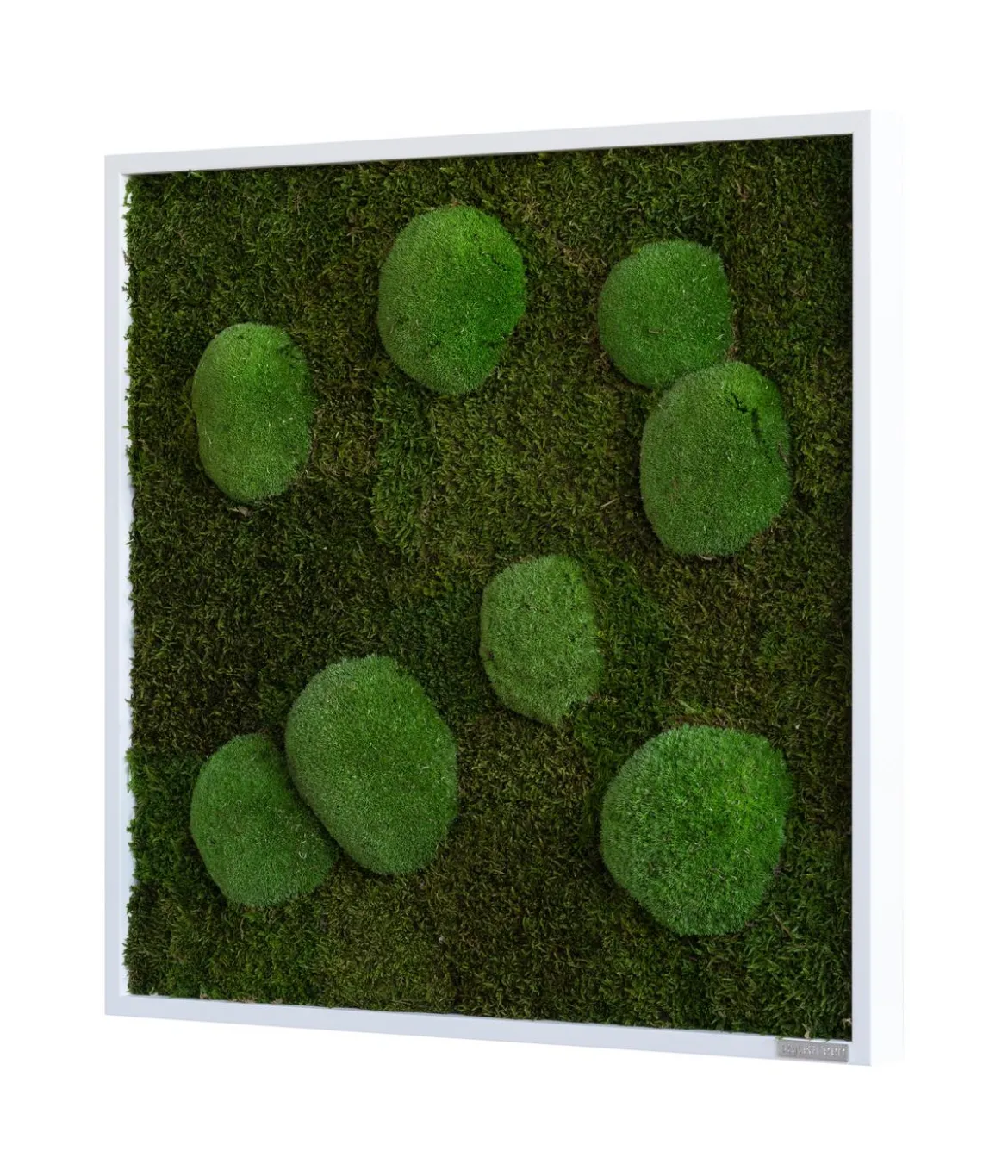 styleGREEN Bild aus Wald- und Kugelmoos, quadratisch, ca. B55/H55/T6 cm