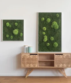 styleGREEN Bild aus Wald- und Kugelmoos, quadratisch, ca. B55/H55/T6 cm