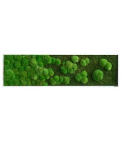 styleGREEN Bild aus Wald- und Kugelmoos im Verlauf, ca. B140/H40/T7 cm