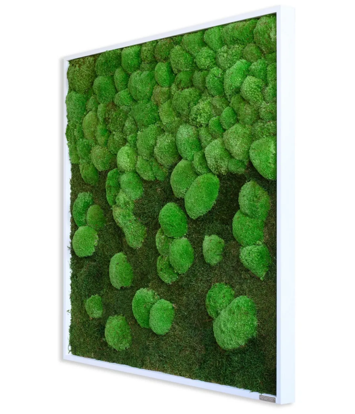 styleGREEN Bild aus Wald- und Kugelmoos im Verlauf, ca. B80/H80/T7 cm