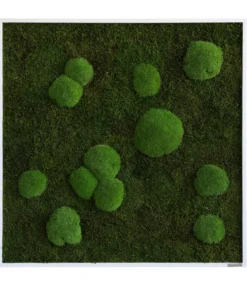 styleGREEN Bild aus Wald- und Kugelmoos, quadratisch, ca. B80/H80/T7 cm