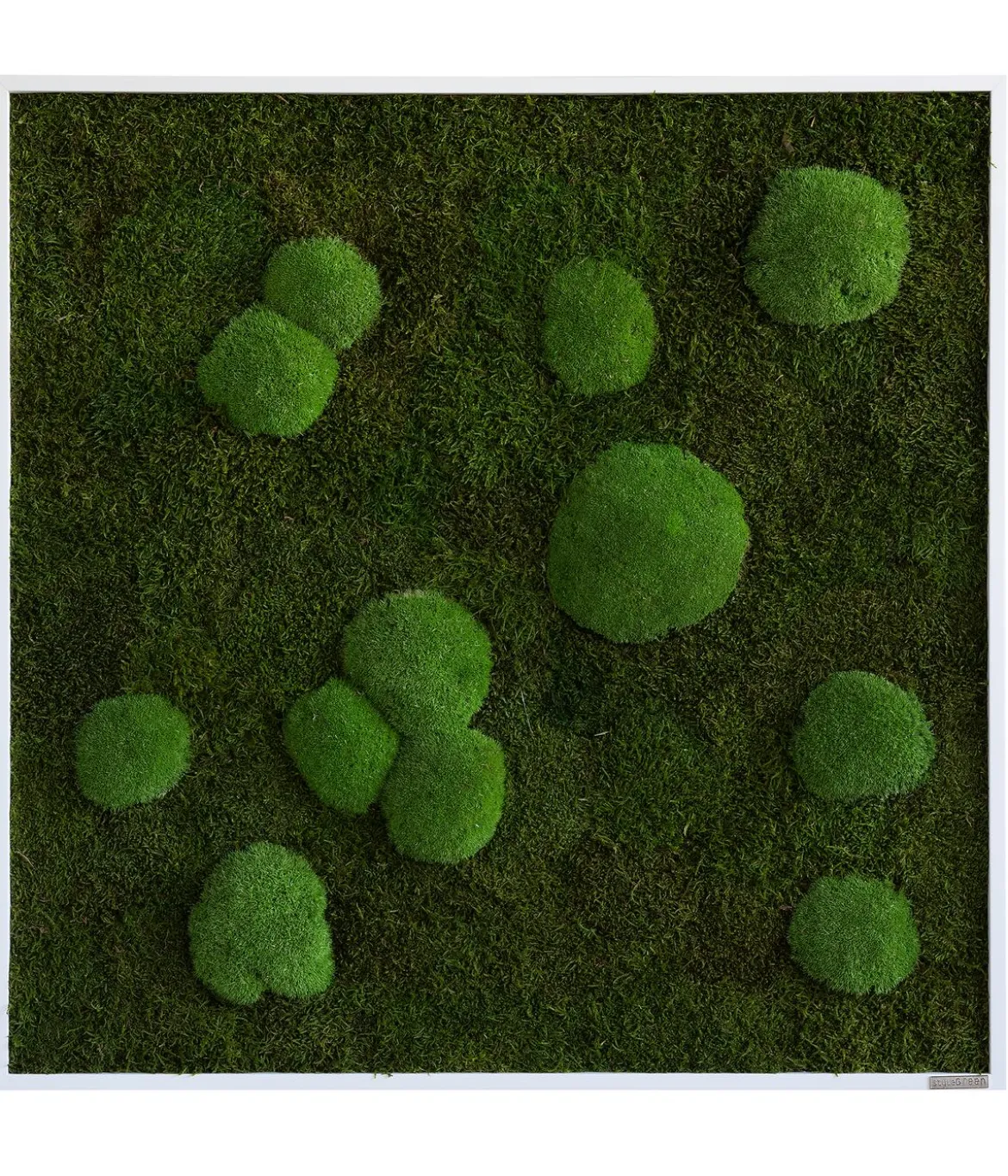 styleGREEN Bild aus Wald- und Kugelmoos, quadratisch, ca. B80/H80/T7 cm