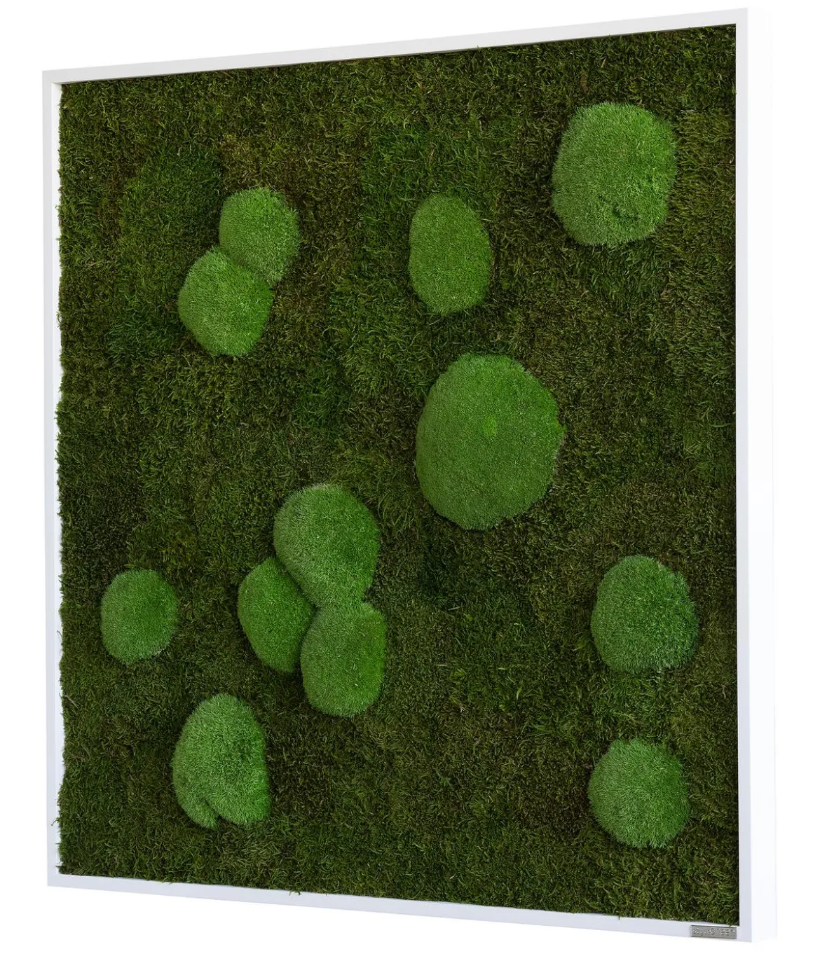 styleGREEN Bild aus Wald- und Kugelmoos, quadratisch, ca. B80/H80/T7 cm