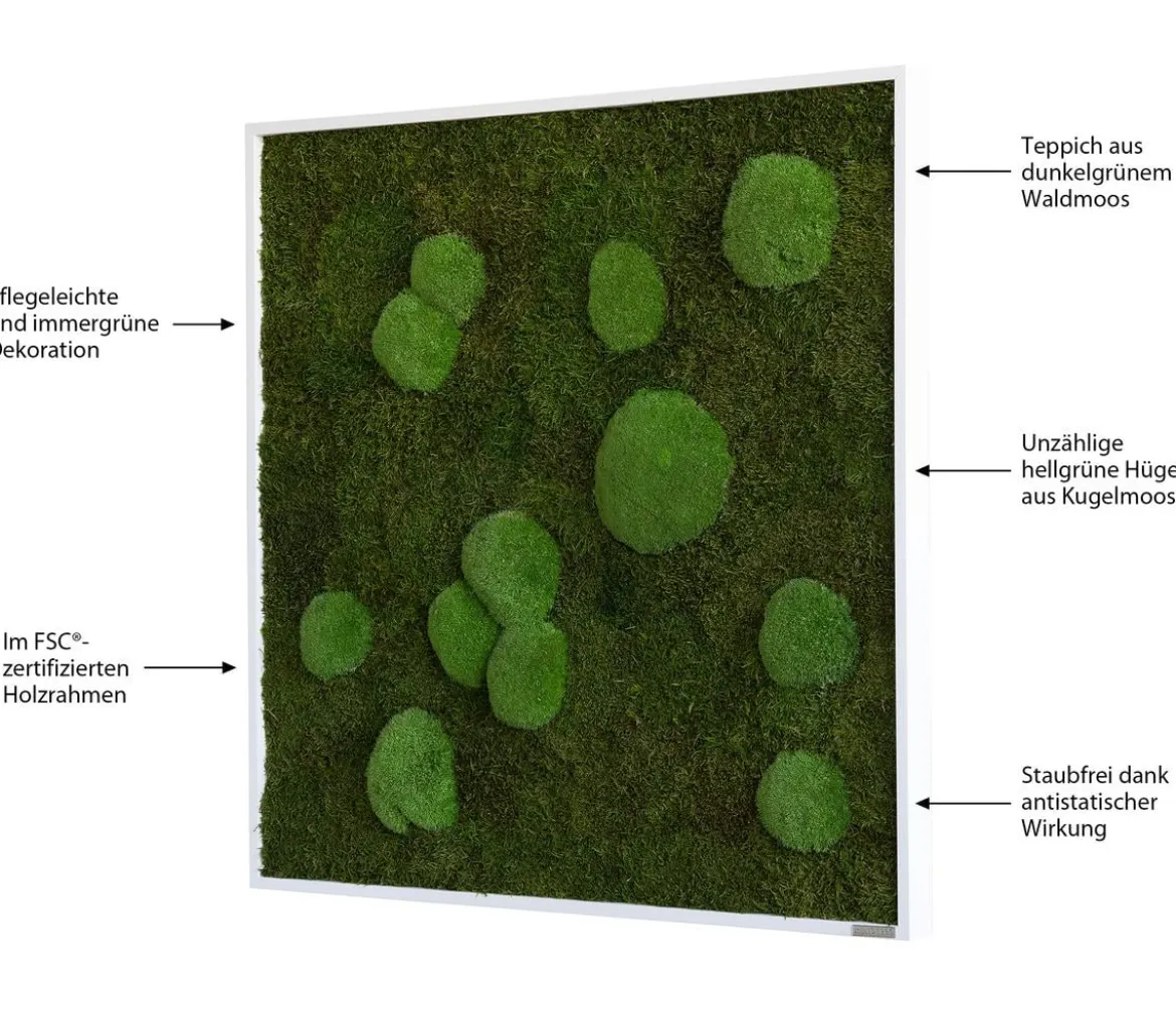 styleGREEN Bild aus Wald- und Kugelmoos, quadratisch, ca. B80/H80/T7 cm