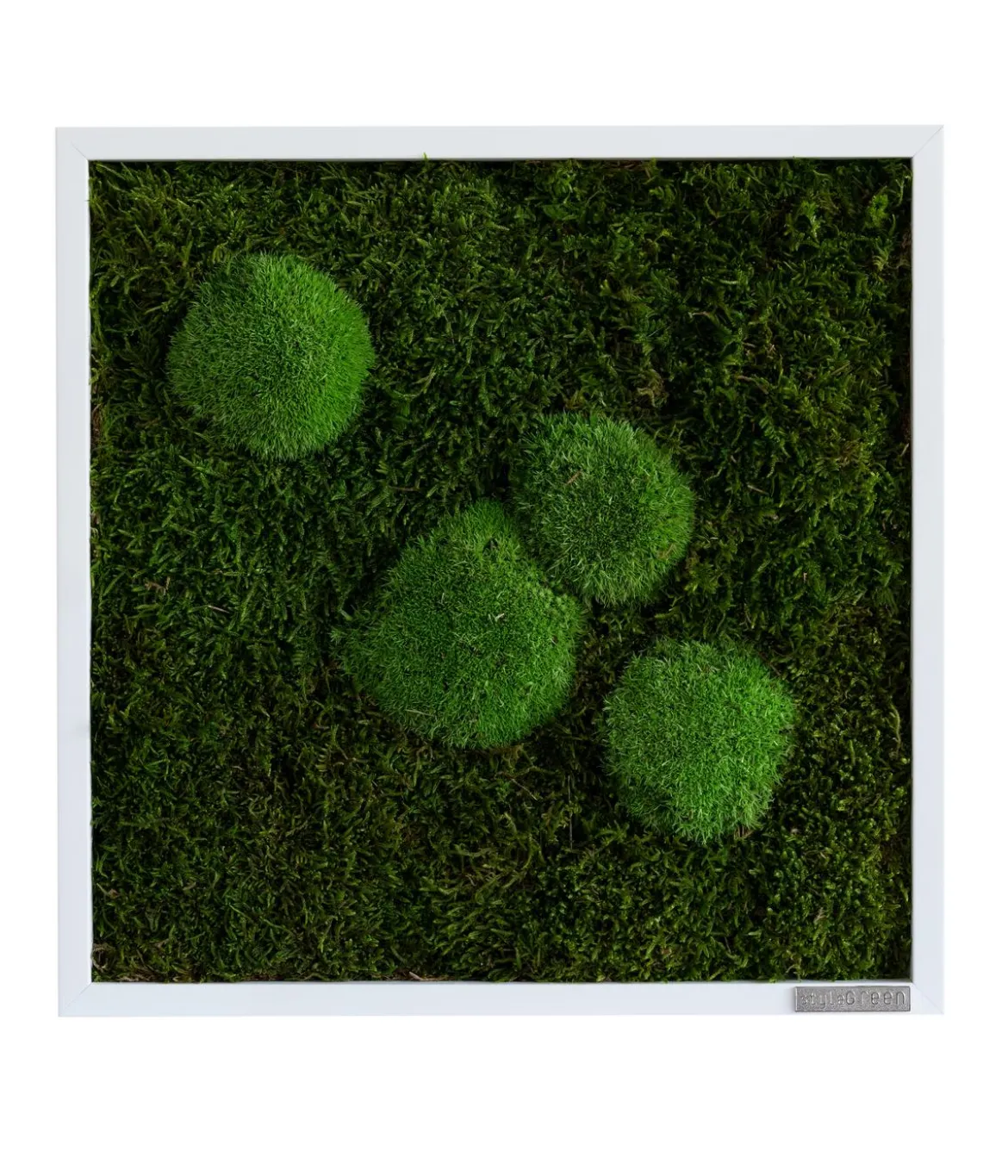 styleGREEN Bild aus Wald- und Kugelmoos, quadratisch, ca. B35/H35/T6 cm