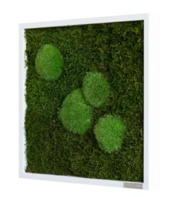 styleGREEN Bild aus Wald- und Kugelmoos, quadratisch, ca. B35/H35/T6 cm