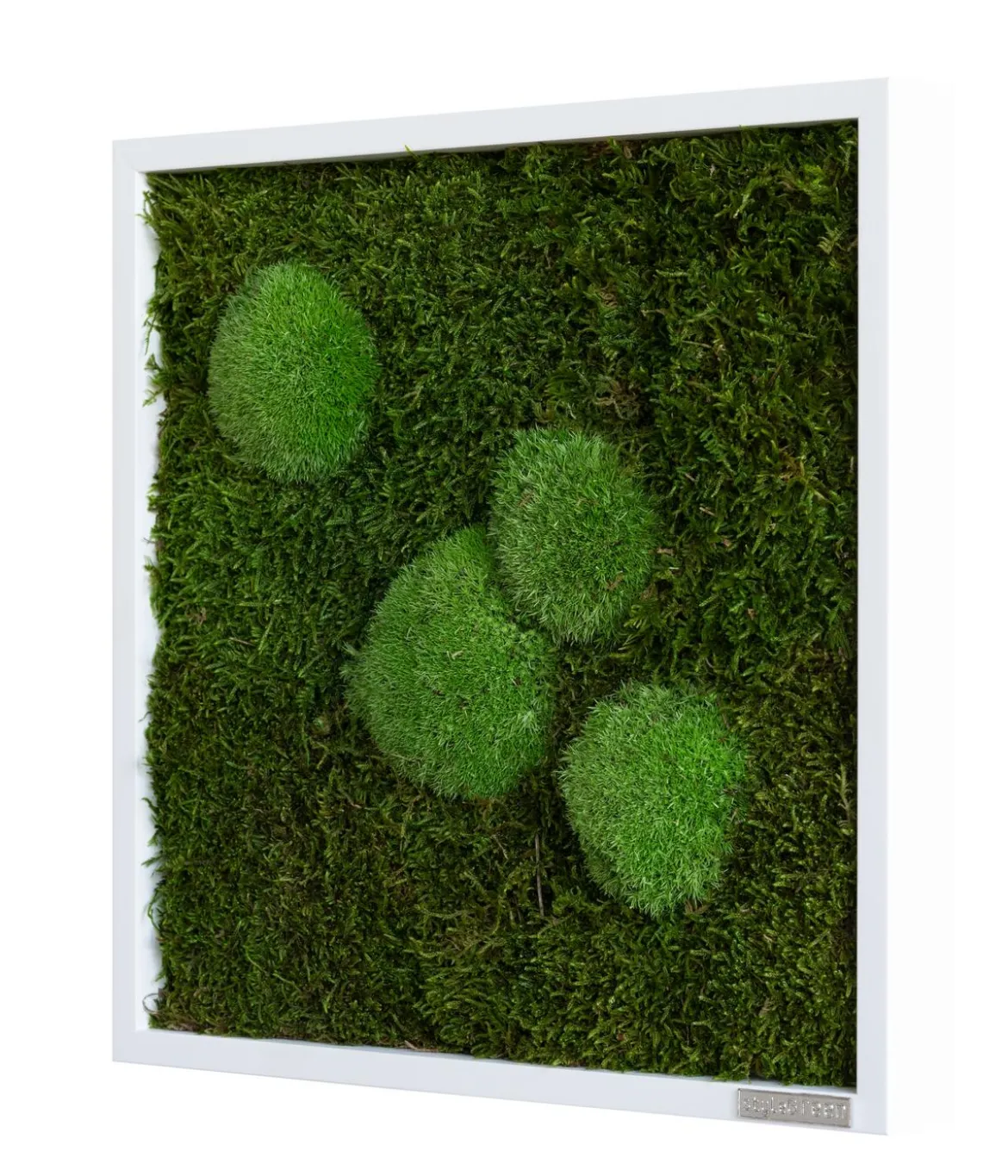 styleGREEN Bild aus Wald- und Kugelmoos, quadratisch, ca. B35/H35/T6 cm