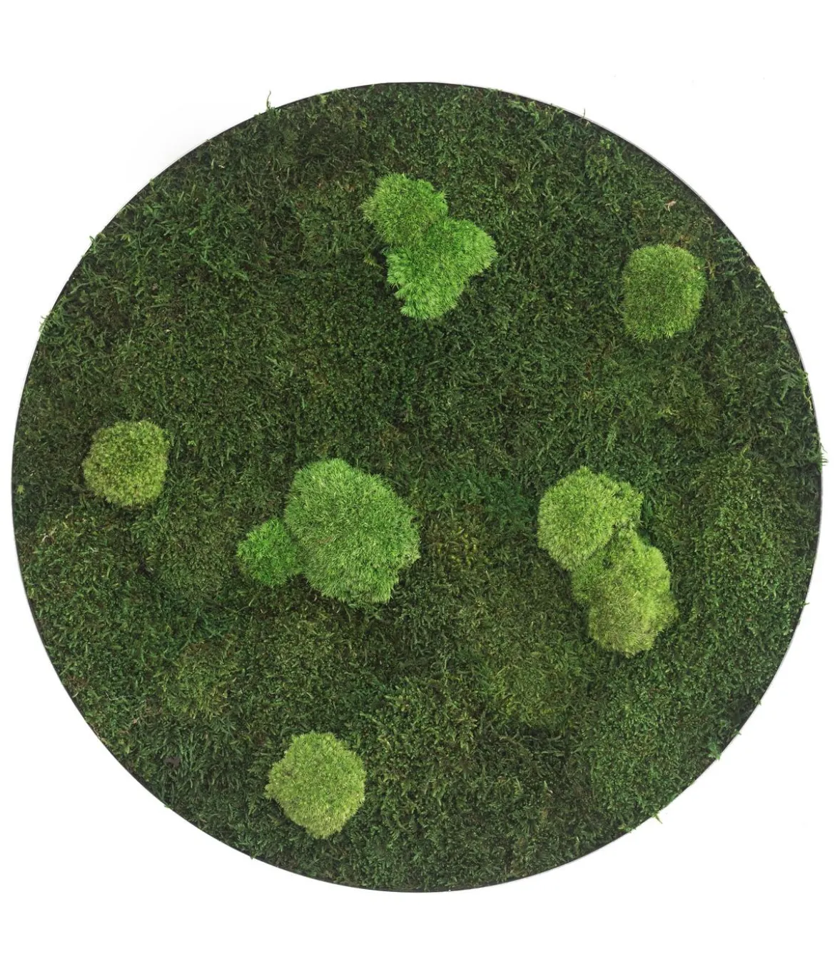 styleGREEN Bild aus Wald- und Kugelmoos, kreisförmig, ca. Ø80 cm