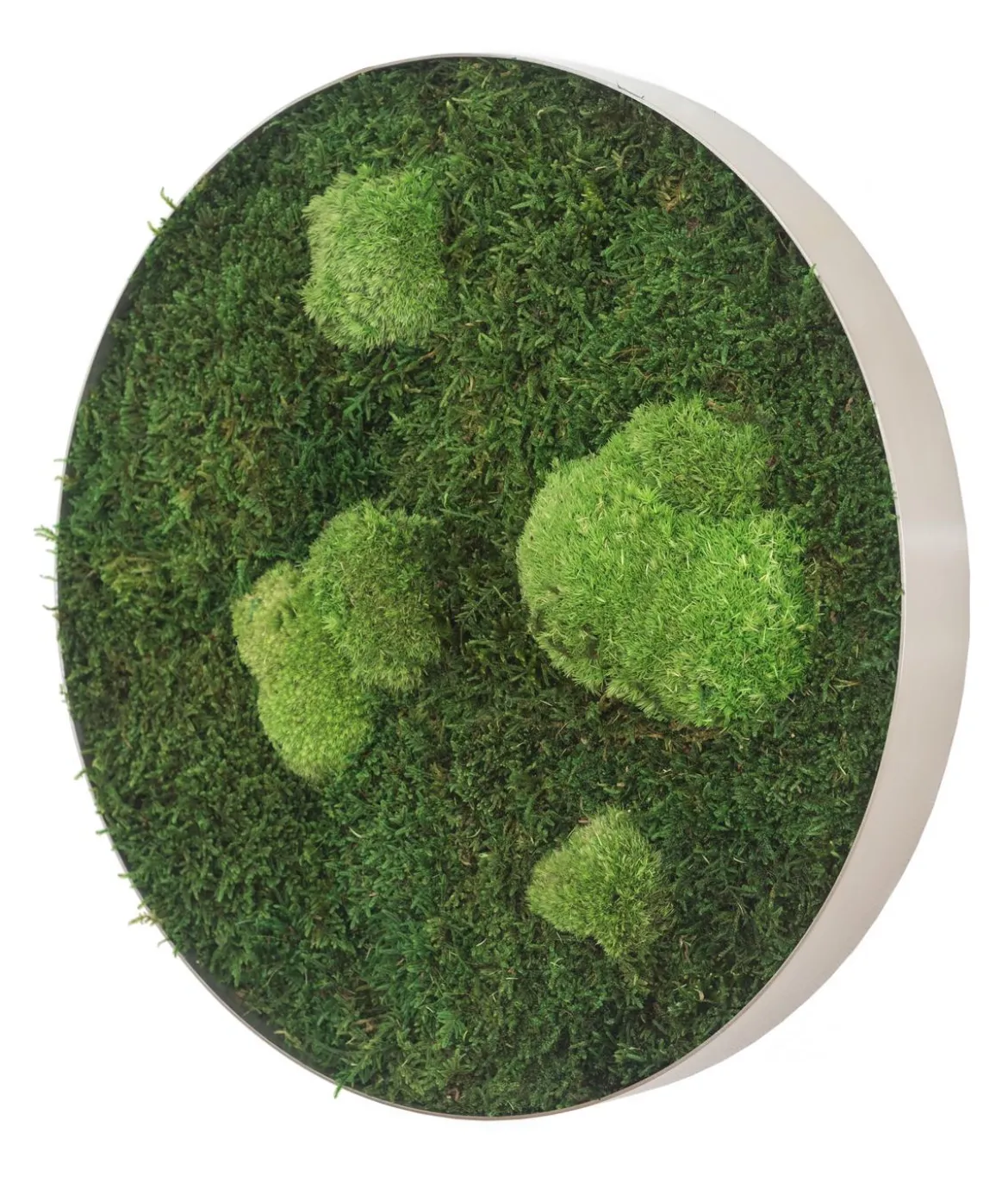 styleGREEN Bild aus Wald- und Kugelmoos, kreisförmig, ca. Ø34 cm