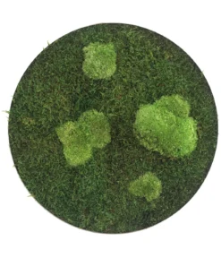 styleGREEN Bild aus Wald- und Kugelmoos, kreisförmig, ca. Ø34 cm