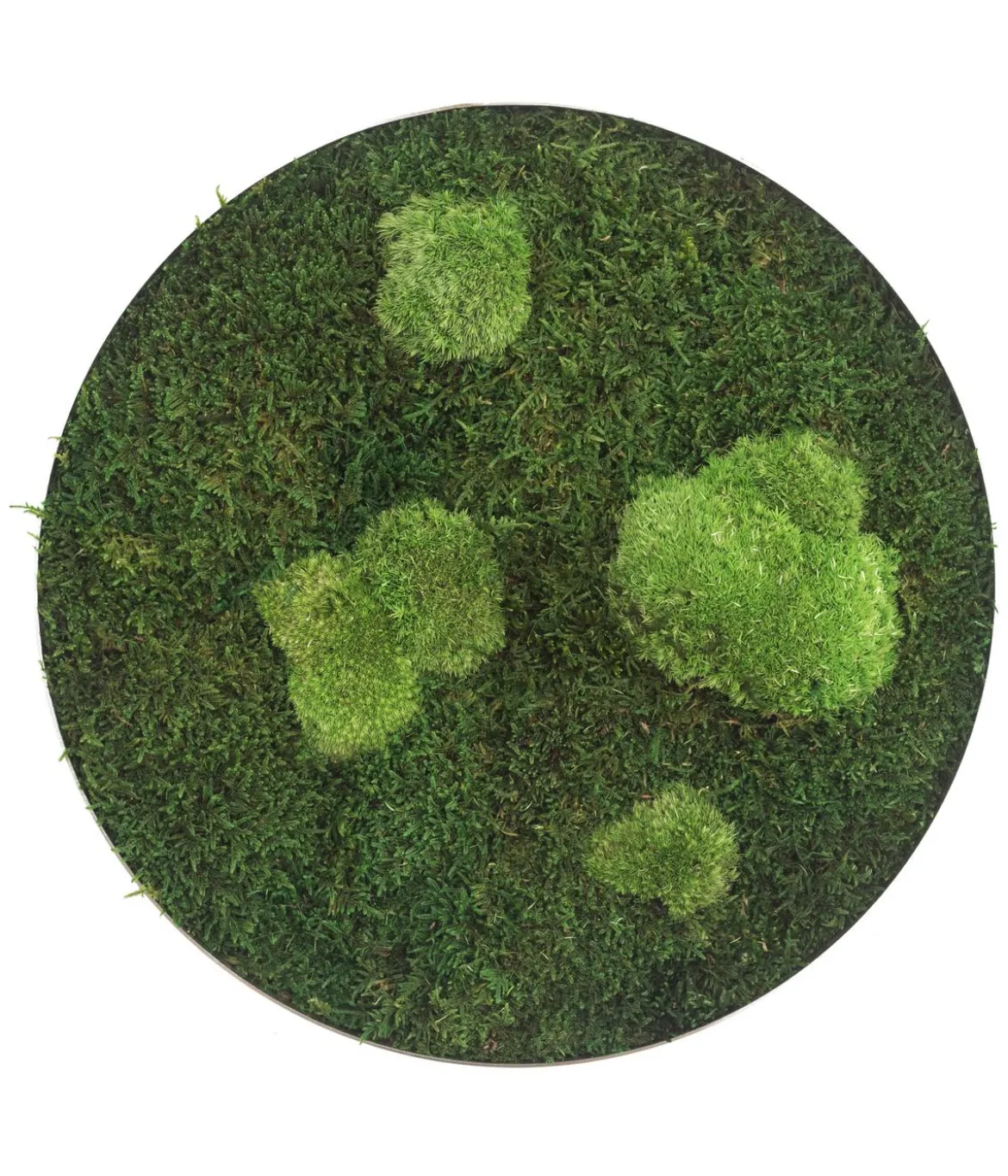 styleGREEN Bild aus Wald- und Kugelmoos, kreisförmig, ca. Ø34 cm