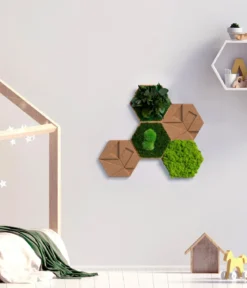 styleGREEN Bilder-Set aus Moos und Kork, Hexagon, 5-teilig