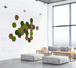 styleGREEN Bilder-Set aus Moos und Kork, Hexagon, 25-teilig