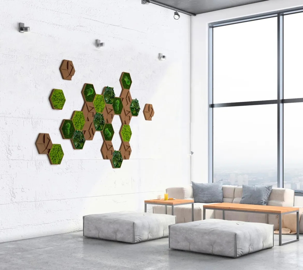 styleGREEN Bilder-Set aus Moos und Kork, Hexagon, 25-teilig