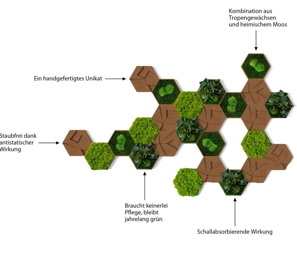 styleGREEN Bilder-Set aus Moos und Kork, Hexagon, 25-teilig