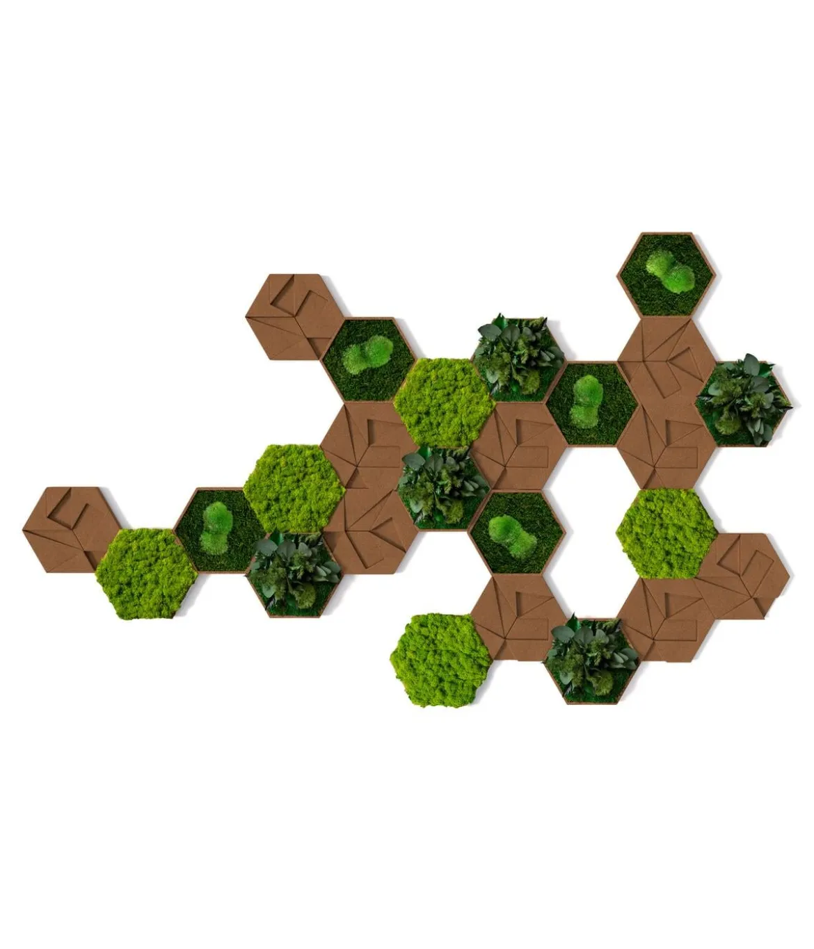 styleGREEN Bilder-Set aus Moos und Kork, Hexagon, 25-teilig