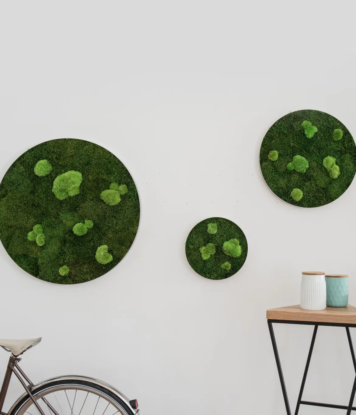 styleGREEN Bilder-Set aus Wald- und Kugelmoos, kreisförmig, 3-teilig