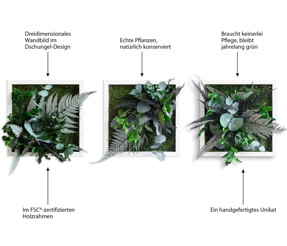 styleGREEN Bilder-Set im Dschungeldesign, quadratisch, 3-teilig