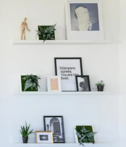 styleGREEN Bilder-Set im Dschungeldesign, quadratisch, 3-teilig