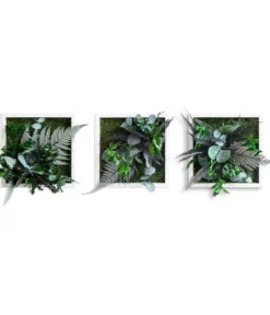 styleGREEN Bilder-Set im Dschungeldesign, quadratisch, 3-teilig