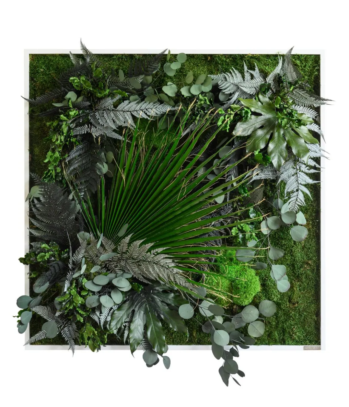 styleGREEN Bild im Dschungeldesign, quadratisch, ca. B80/H80/T20 cm