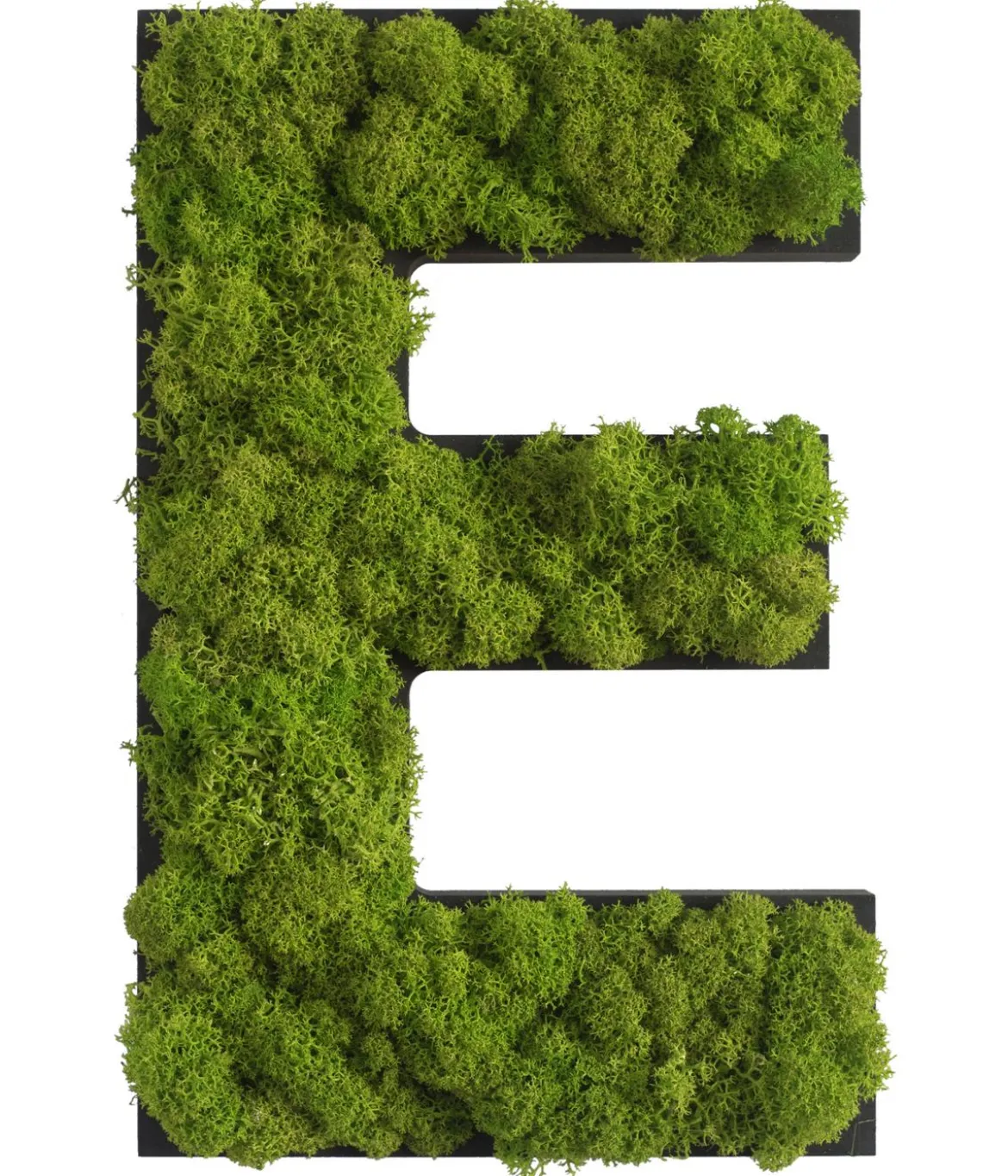 styleGREEN Buchstaben aus Islandmoos, ca. H25 cm