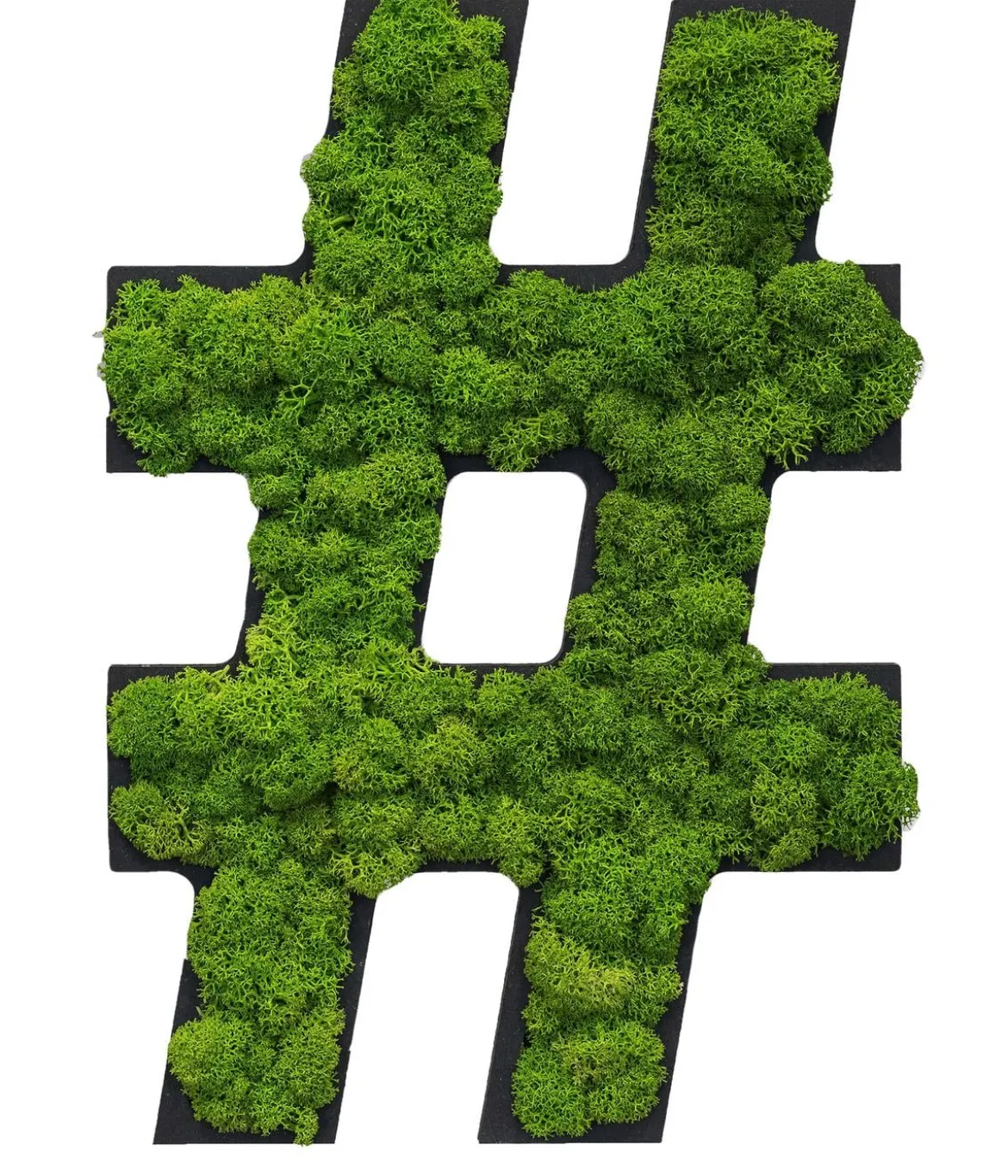 styleGREEN Sonderzeichen 'Hashtag' aus Islandmoos, ca. B20/H25/T3,5 cm