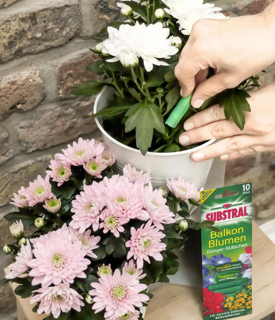 Substral® Dünger-Stäbchen für Balkonblumen, 10 Stk.