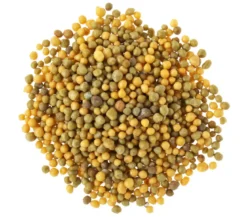 Substral® Langzeit Depotdünger Balkonblumen