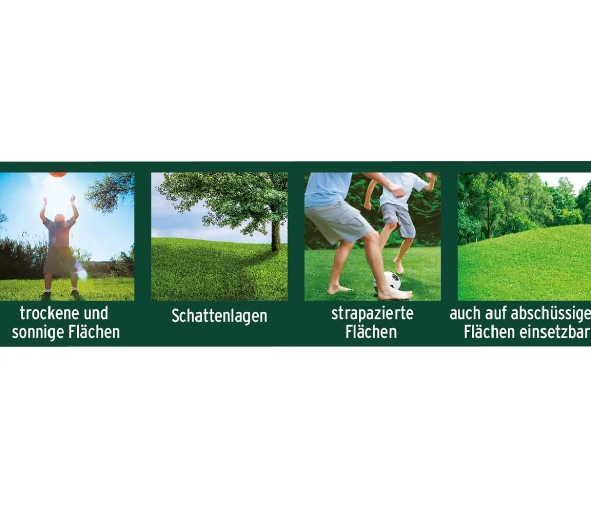 Substral® Magisches Rasen-Pflaster