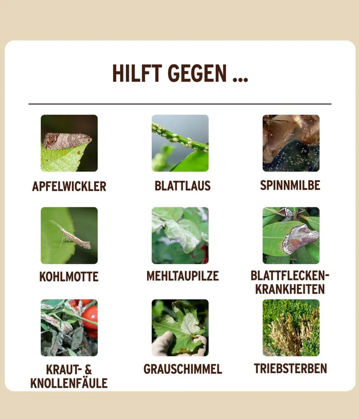 Substral® Naturen® Grundstoff Urtica, 750 ml