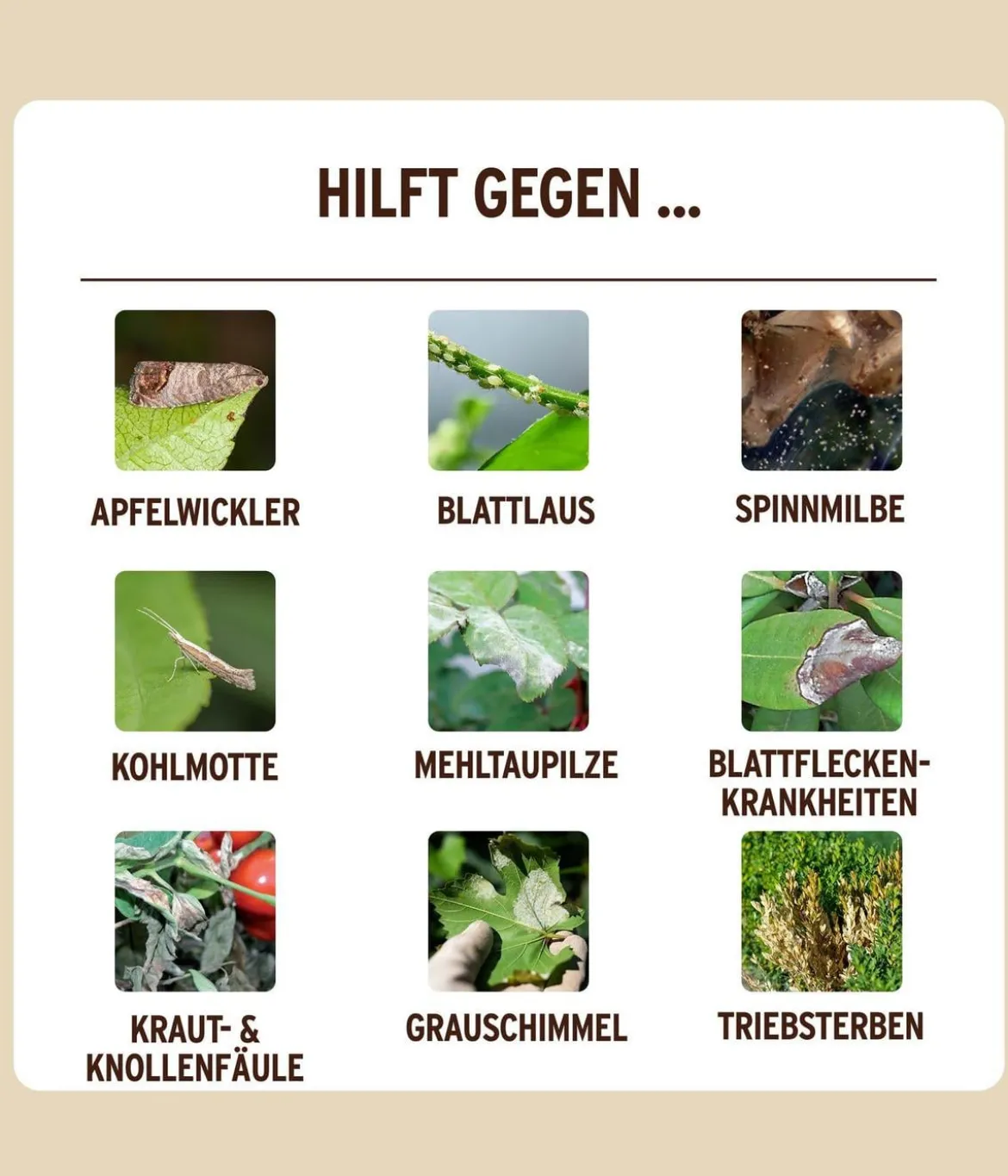 Substral® Naturen® Grundstoff Urtica Pflanzenstärkungsmittel, flüssig, 1 l