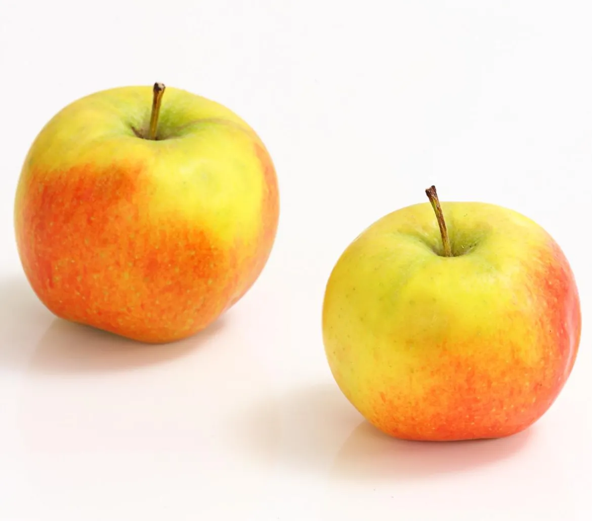 Säulenapfel 'Rondo'