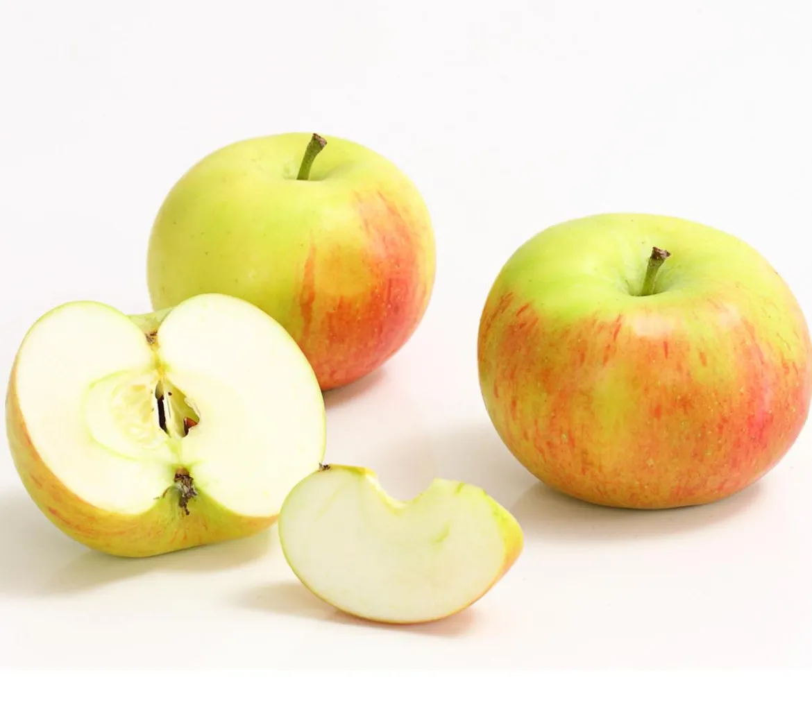 Säulenapfel 'Sonate'