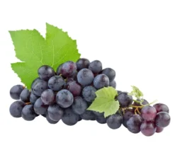 Tafeltrauben-Set Traubentraum, 4-teilig
