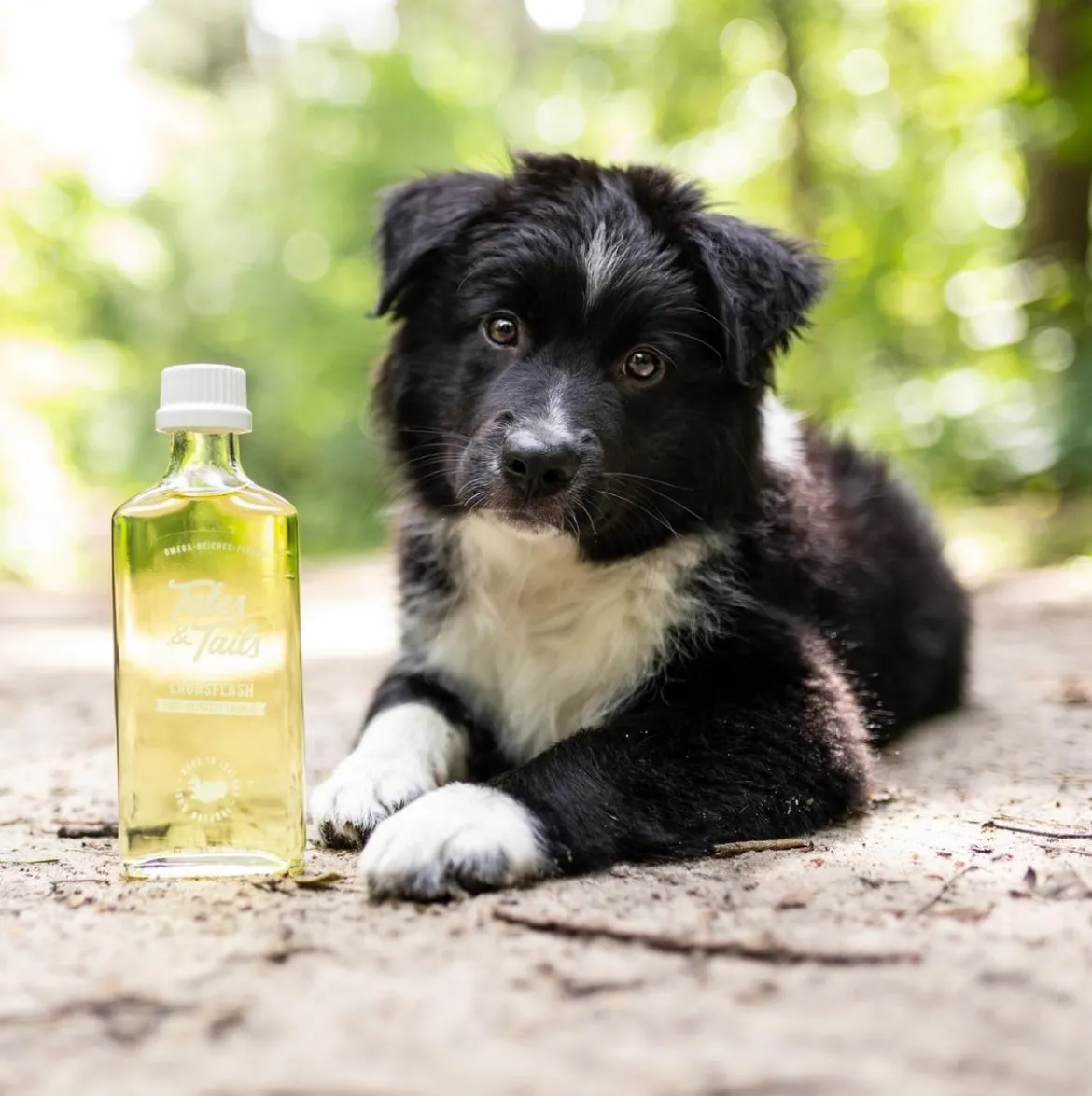 Tales & Tails Ergänzungsfutter für Hunde Lachsöl Oh Mega, 240 ml