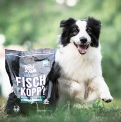 Tales & Tails Soft-Trockenfutter für Hunde Noch ganz Fisch im Kopp