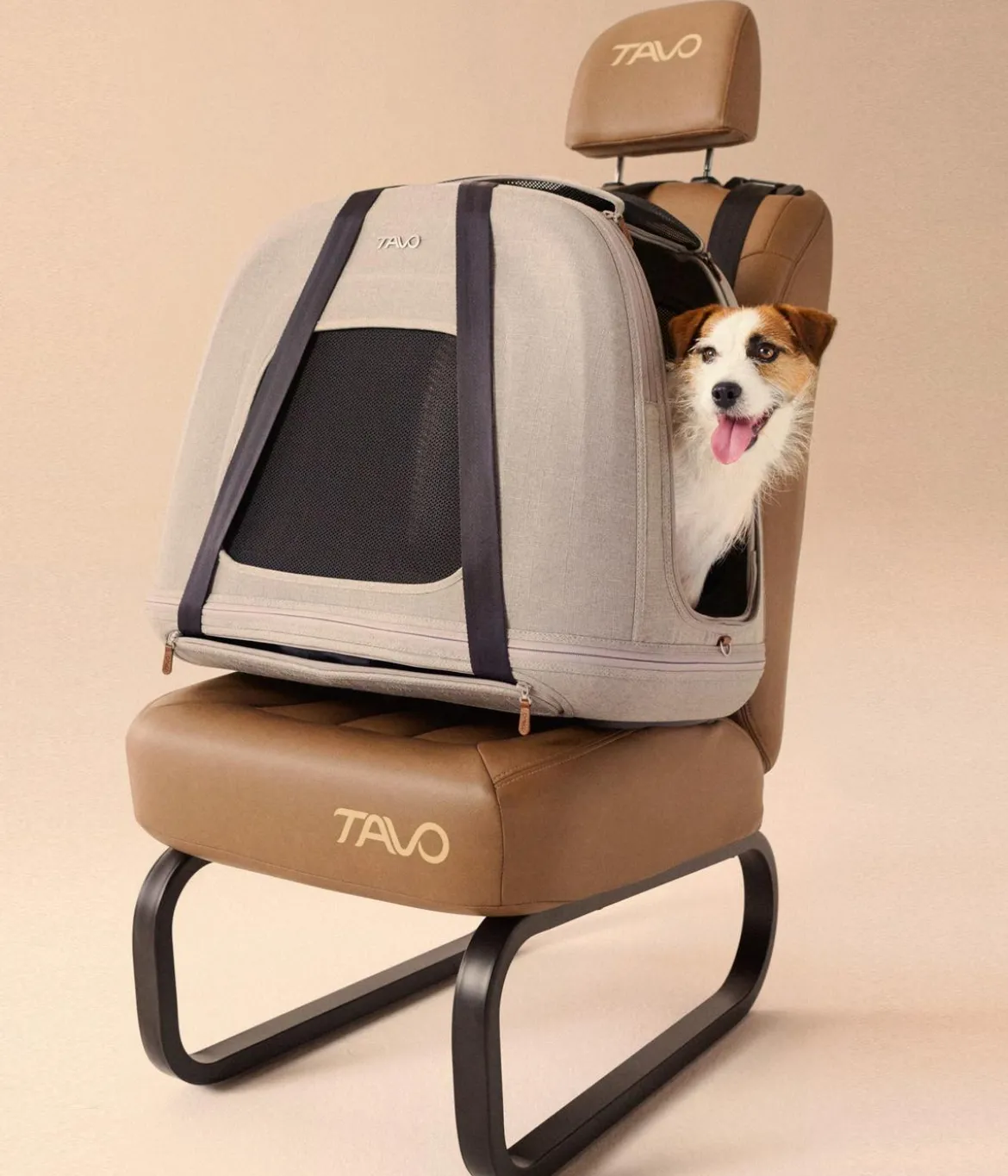 Tavo Transportbox Crispin